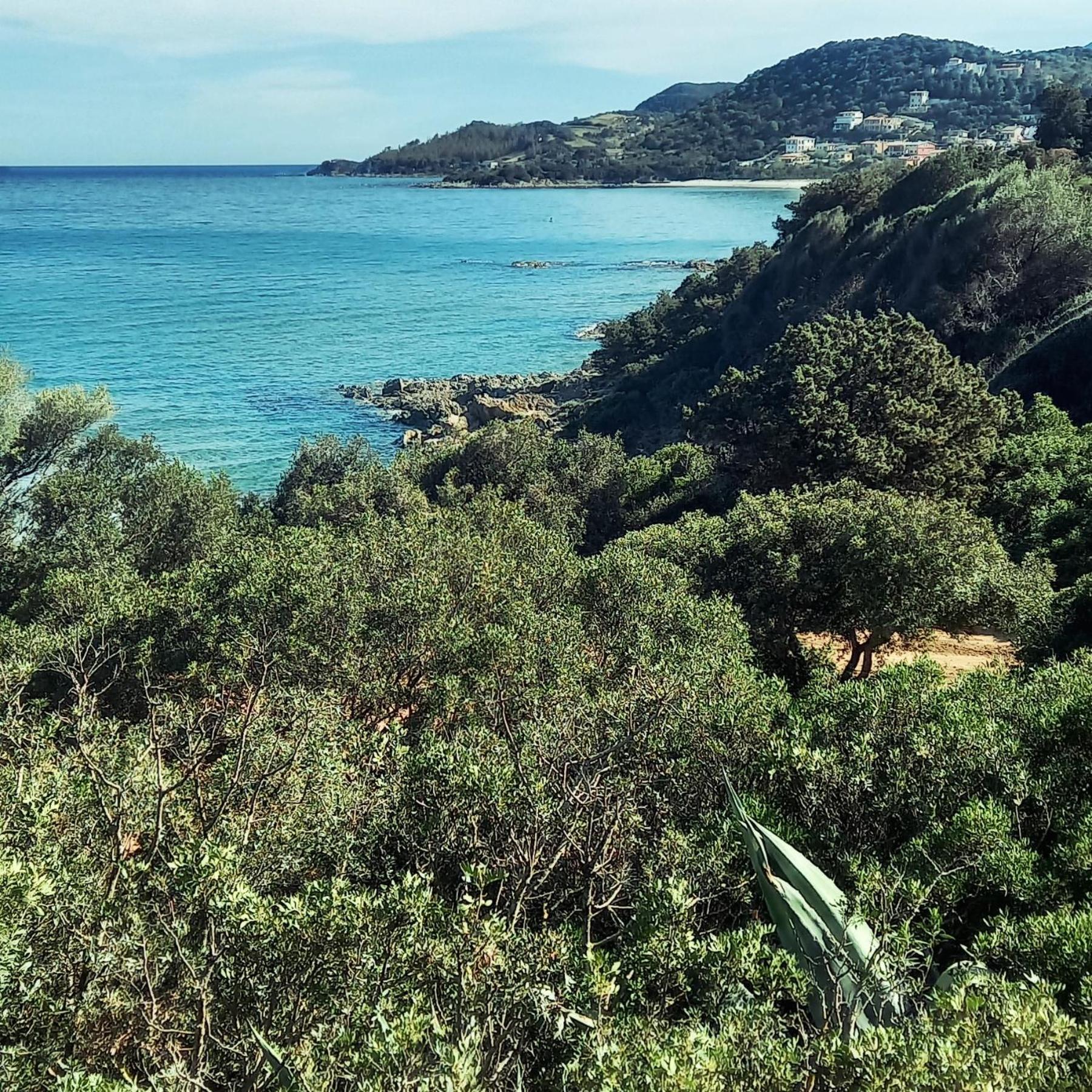 Villa Assunta Tertenìa 外观 照片